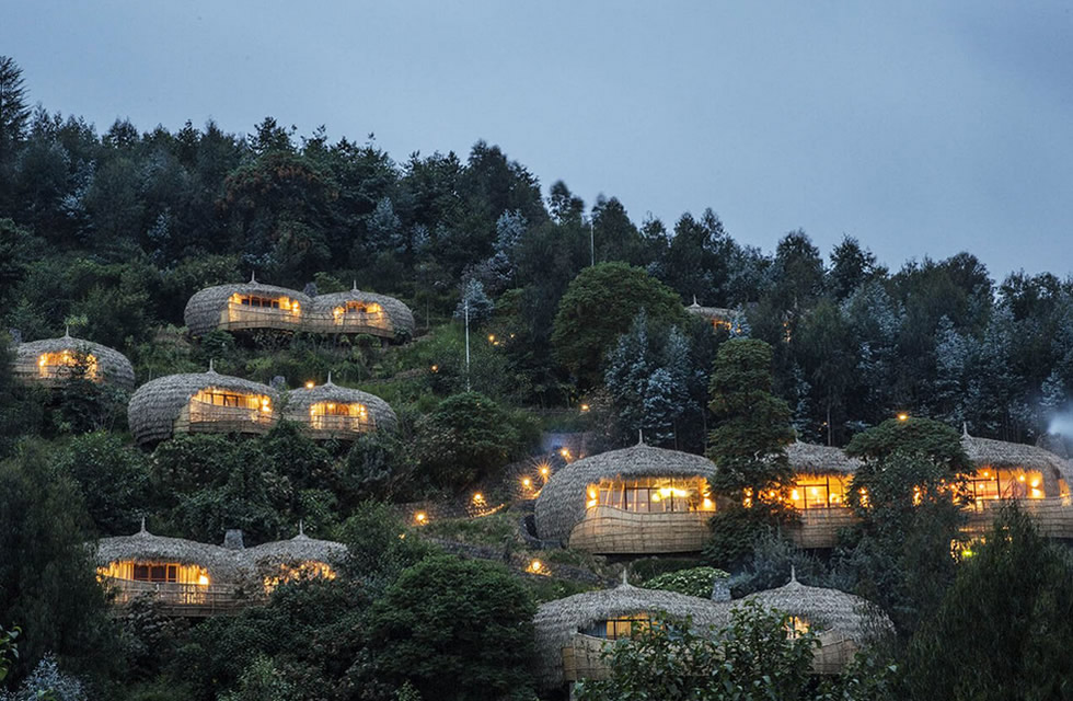 Bisate Lodge