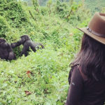 Ecofriendly Gorilla Trek