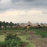 Gorilla Solution Lodge