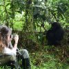 Are You Fit Enough for Gorilla Trekking? Here’s How to Know